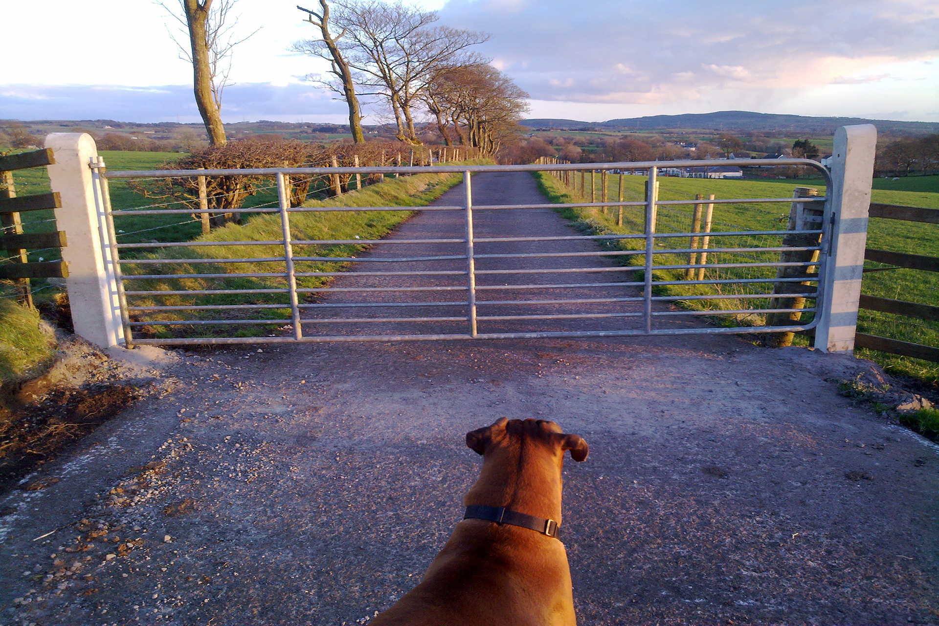 Concrete Gate Posts | Concrete Specialists | Moore Concrete