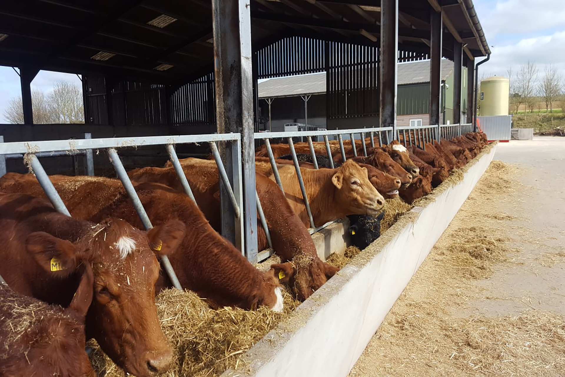 Concrete Feed Troughs Concrete Specialists Moore Concrete