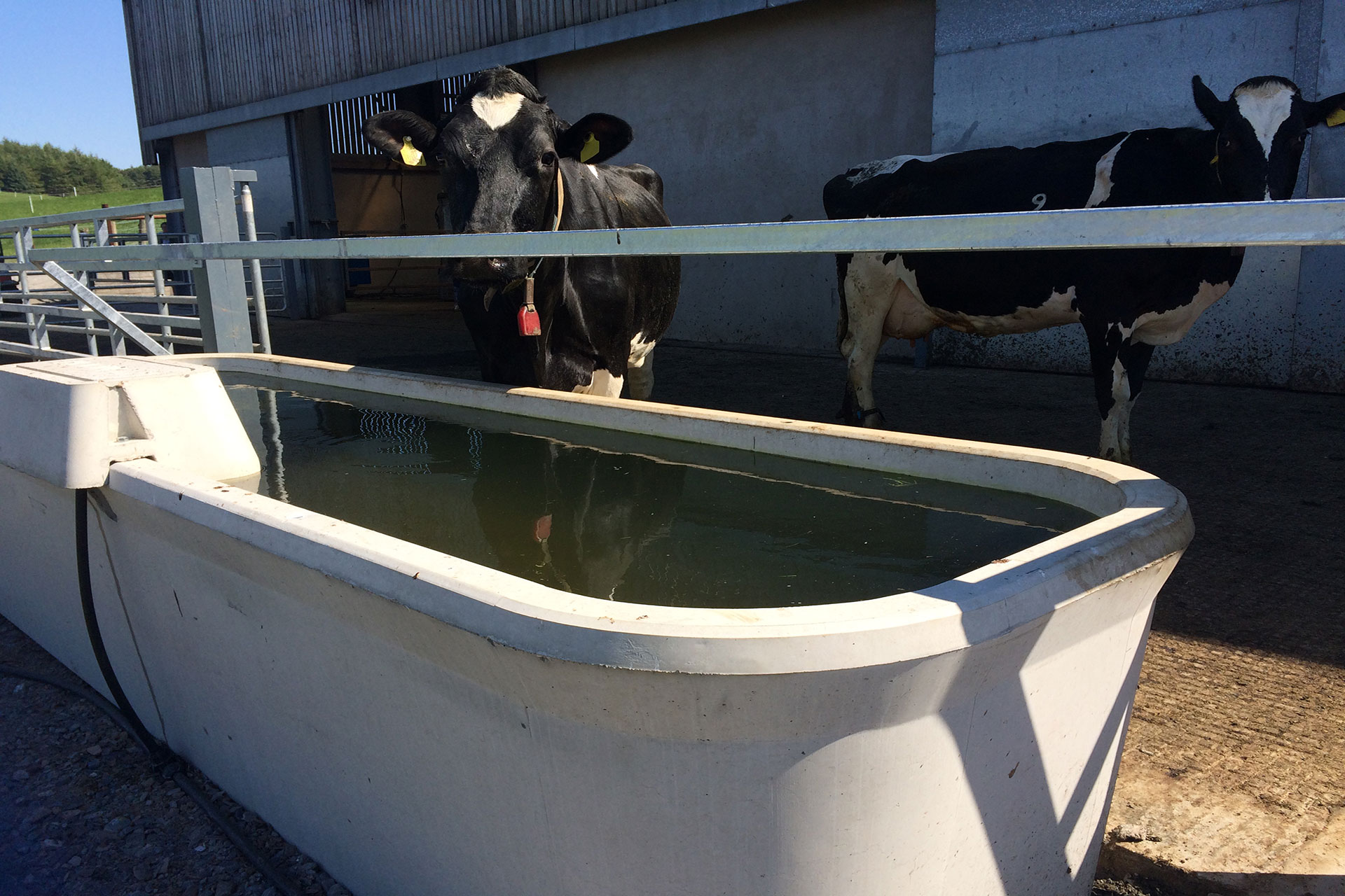Concrete Water Troughs Concrete Specialists Moore Concrete