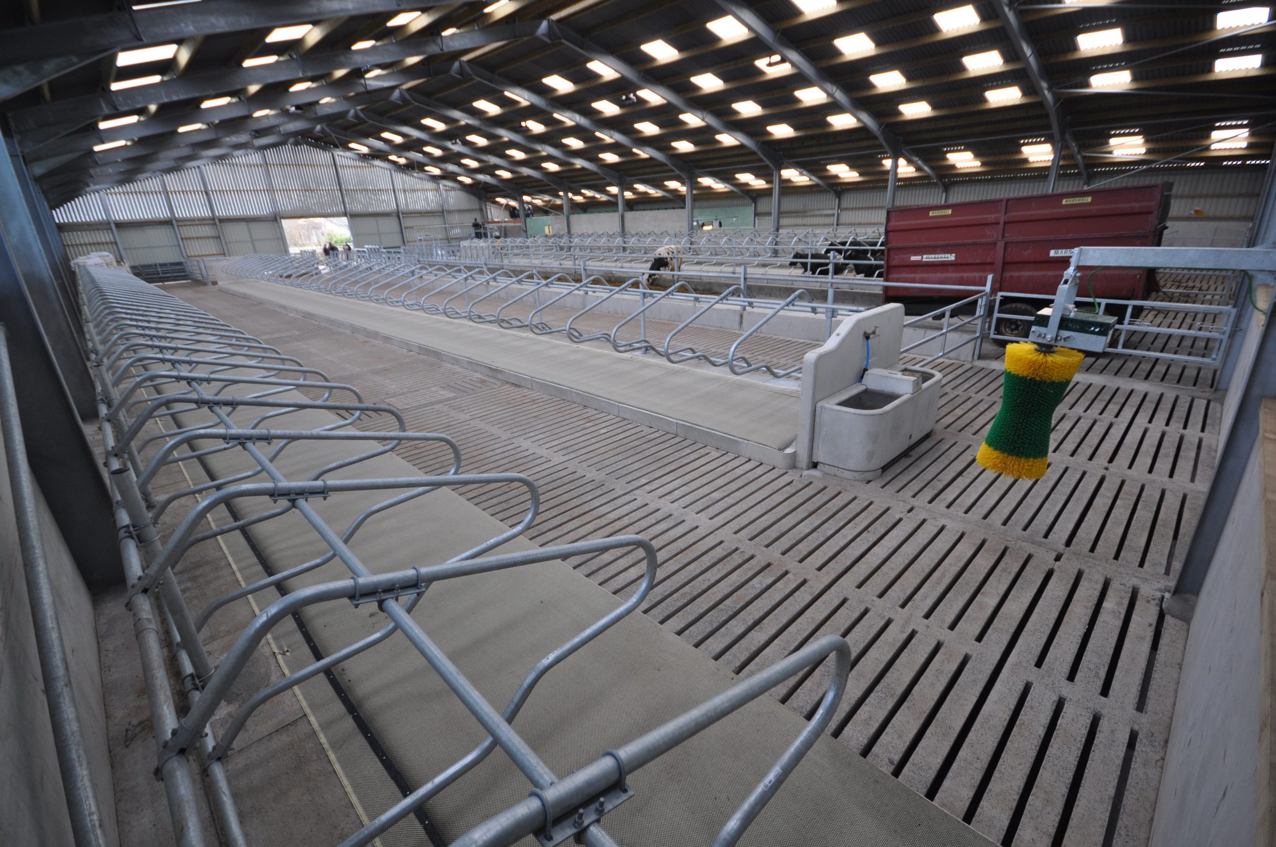 Cattle Slats Concrete Specialists Moore Concrete